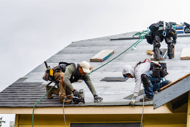 Professional Roofing technician working in Colchester, IL